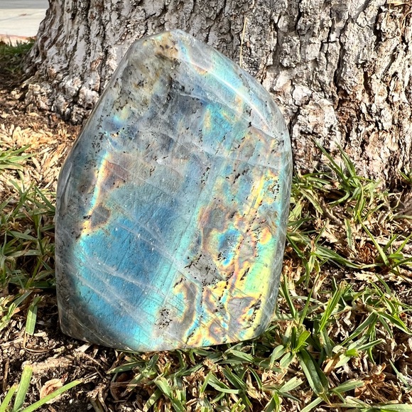 Labradorite Free Form Mix Color - Blue Base Flash - Picture 5 of 5